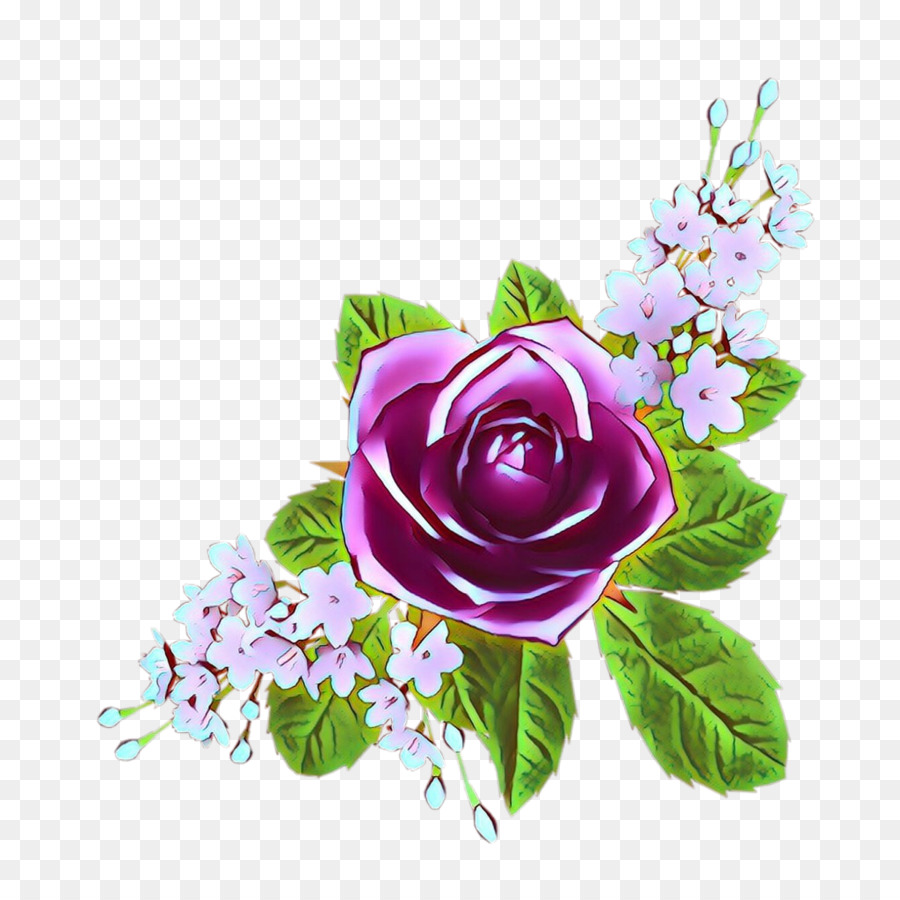 Rosa Roxa，Florescer PNG