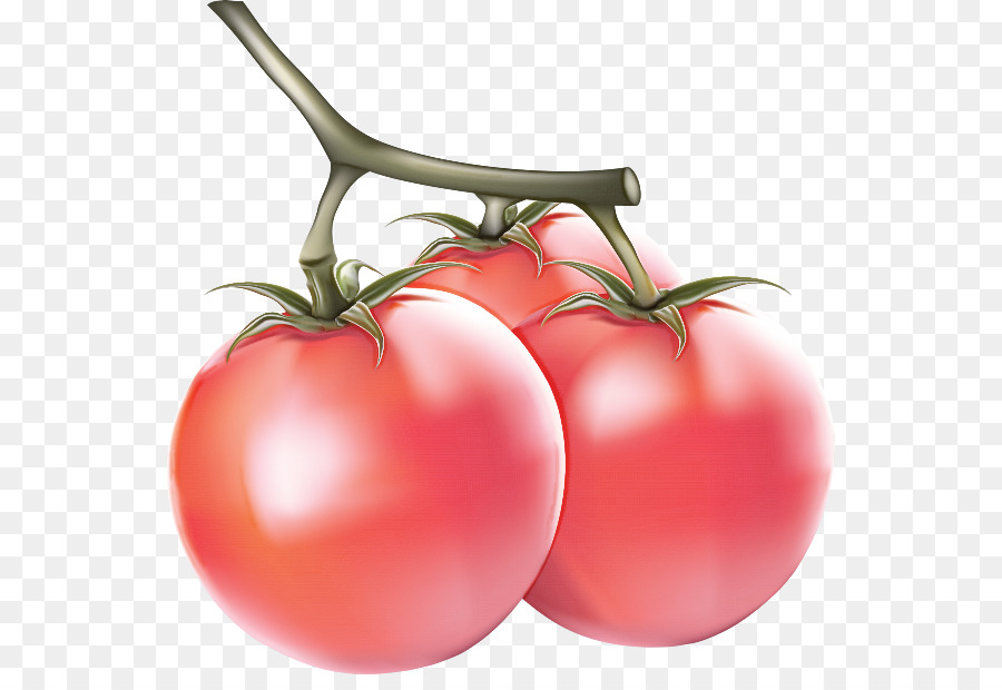 Alimentos Naturais，Tomate PNG