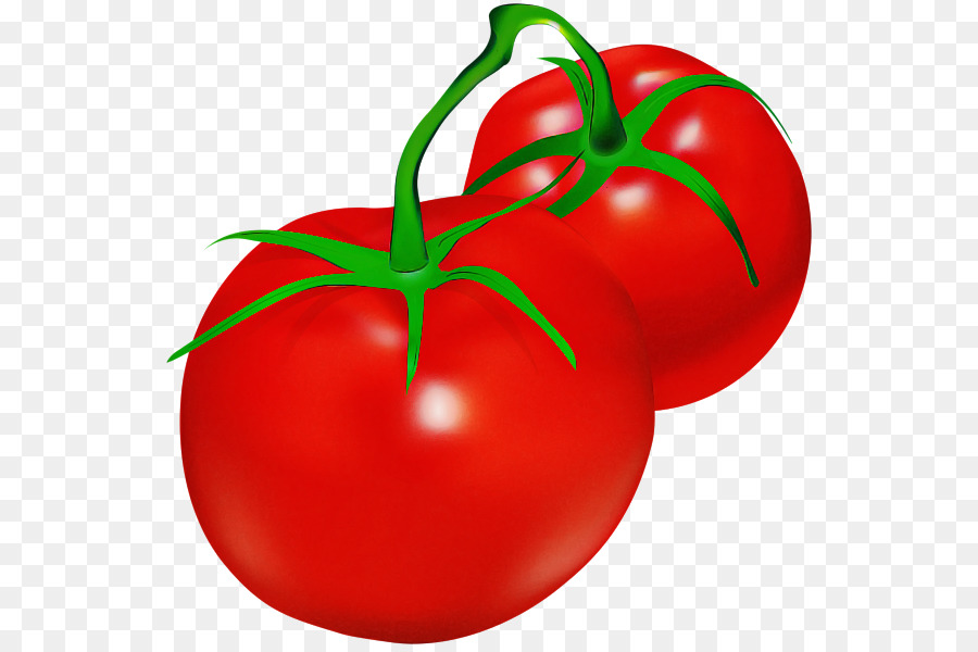 Tomates Vermelhos，Vegetal PNG