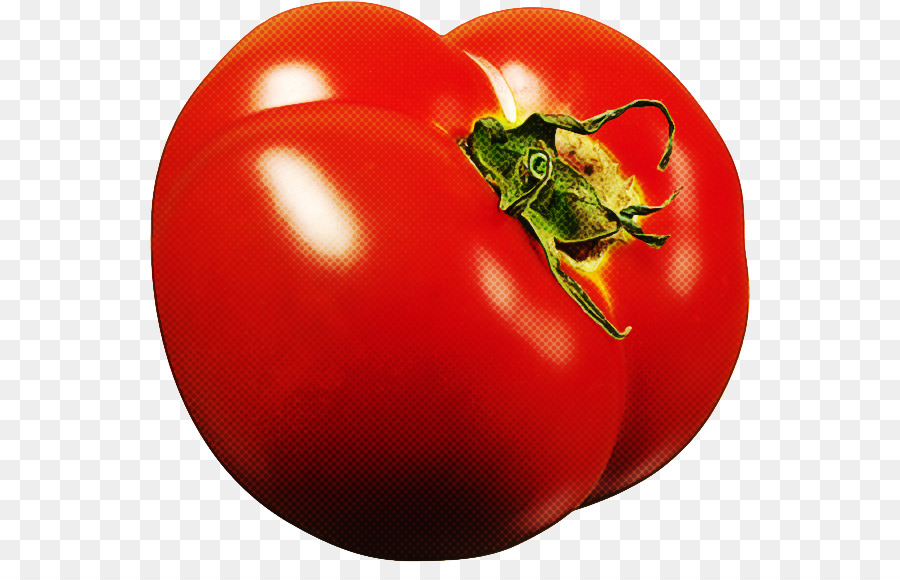 Tomates Vermelhos，Folhas Verdes PNG