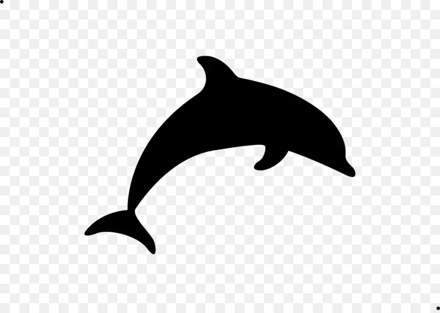 Dolphin，Golfinho PNG