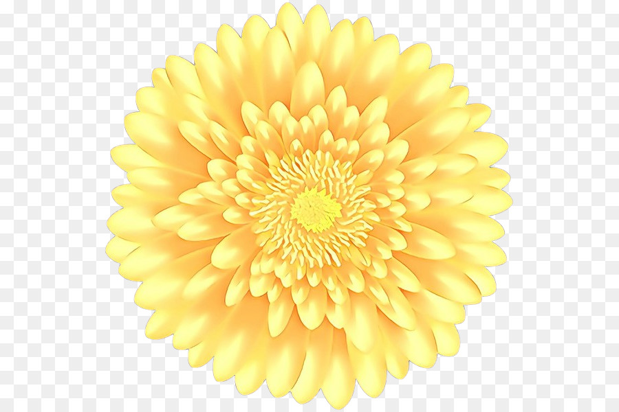 Flor Amarela，Florescer PNG