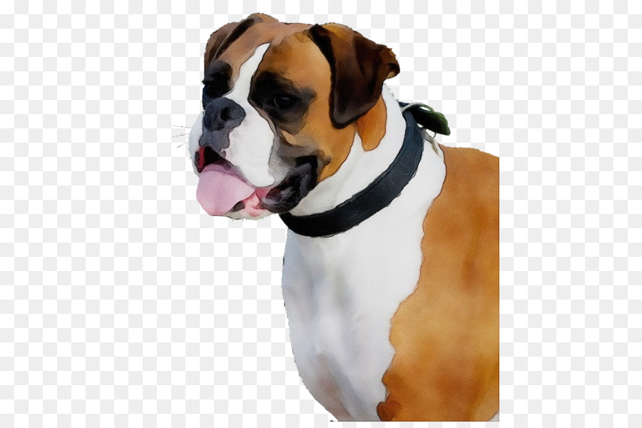 Cachorro，Antigo Bulldog Inglês PNG