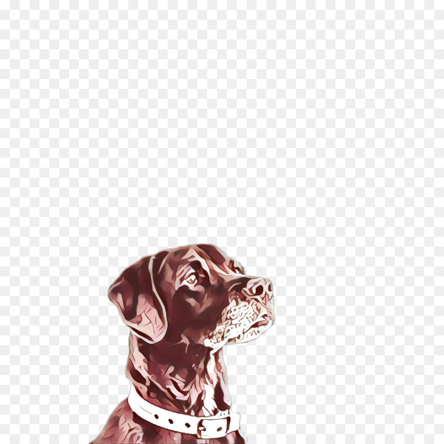 Cachorro，Labrador Retriever PNG