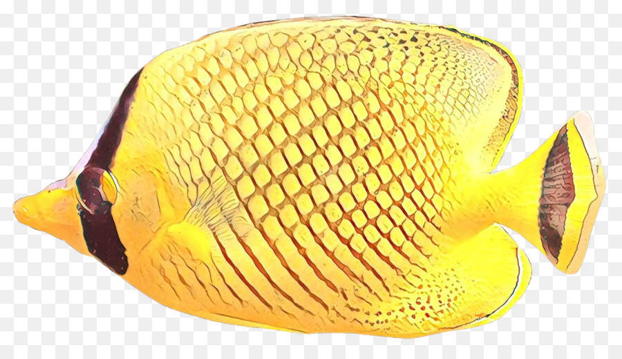 Peixe，Amarelo PNG
