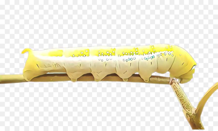 Amarelo，Caterpillar PNG