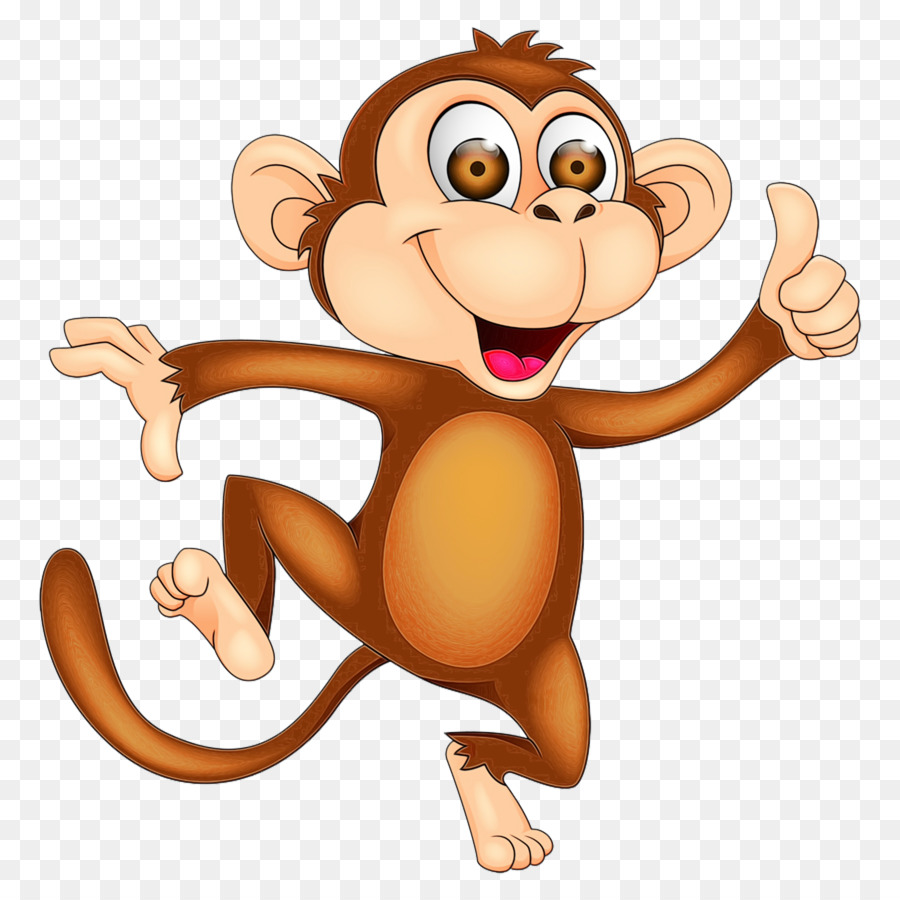 Macaco，Primata PNG