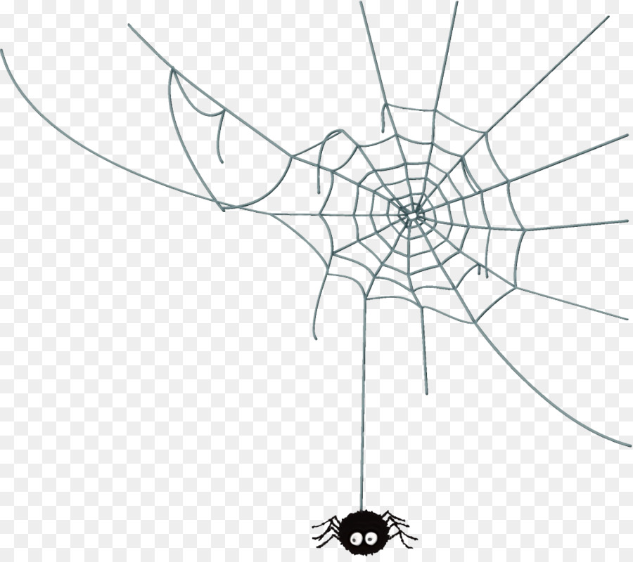 Teia De Aranha，Aranha PNG