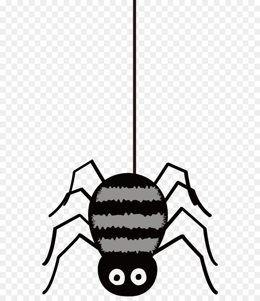 Aranha，Arachnid PNG