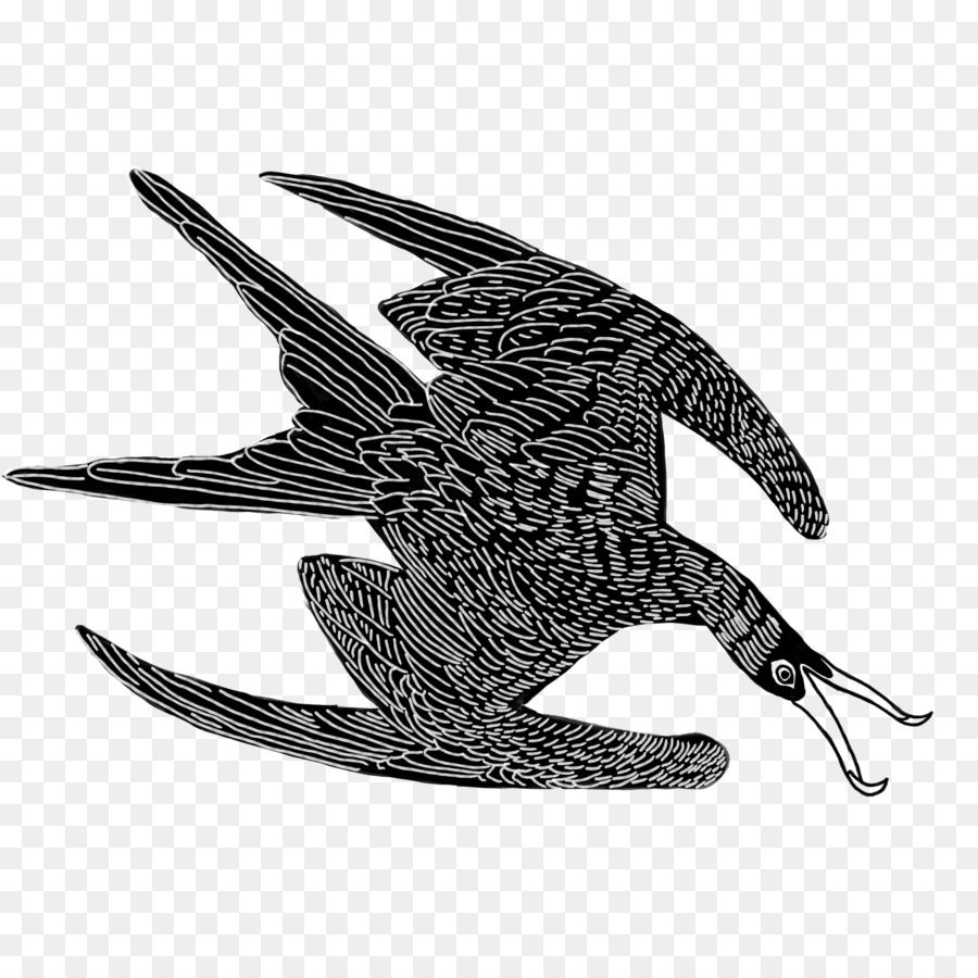 Aves，O Falcão Peregrino PNG