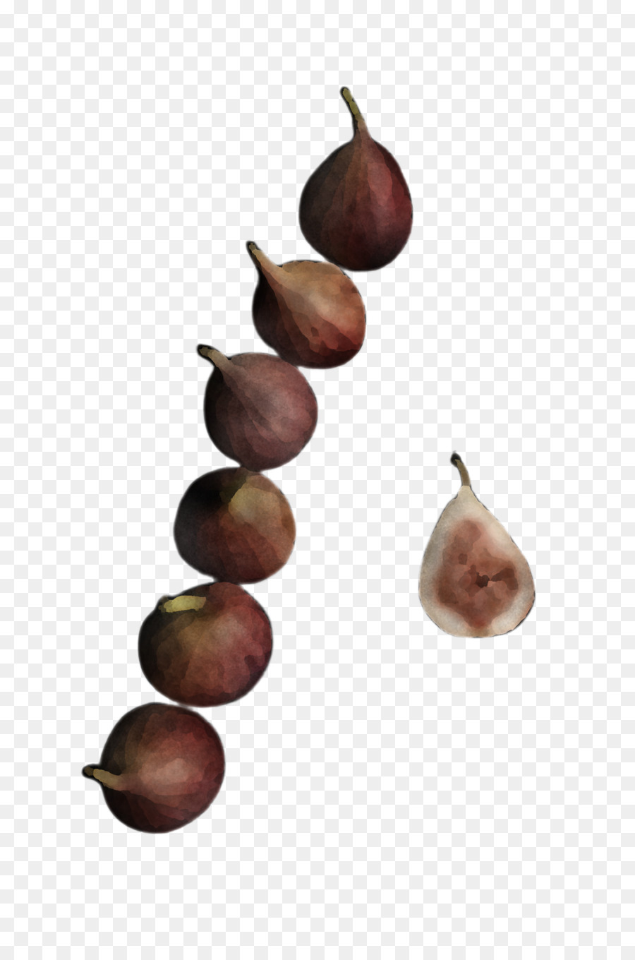 árvore，Plantar PNG