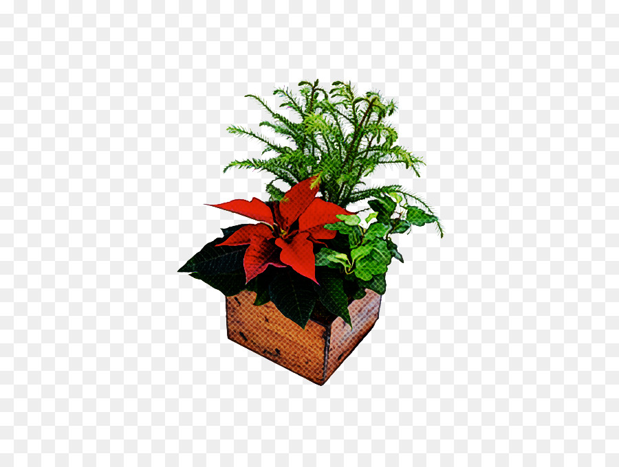 Flor，Planta PNG