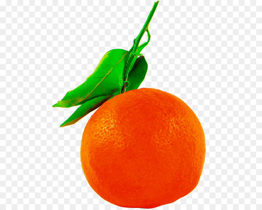 Laranja，Cítrico PNG