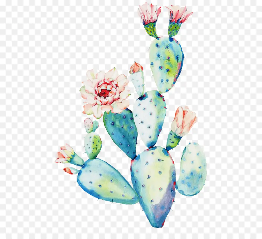 Cacto Com Flores，Cacto PNG