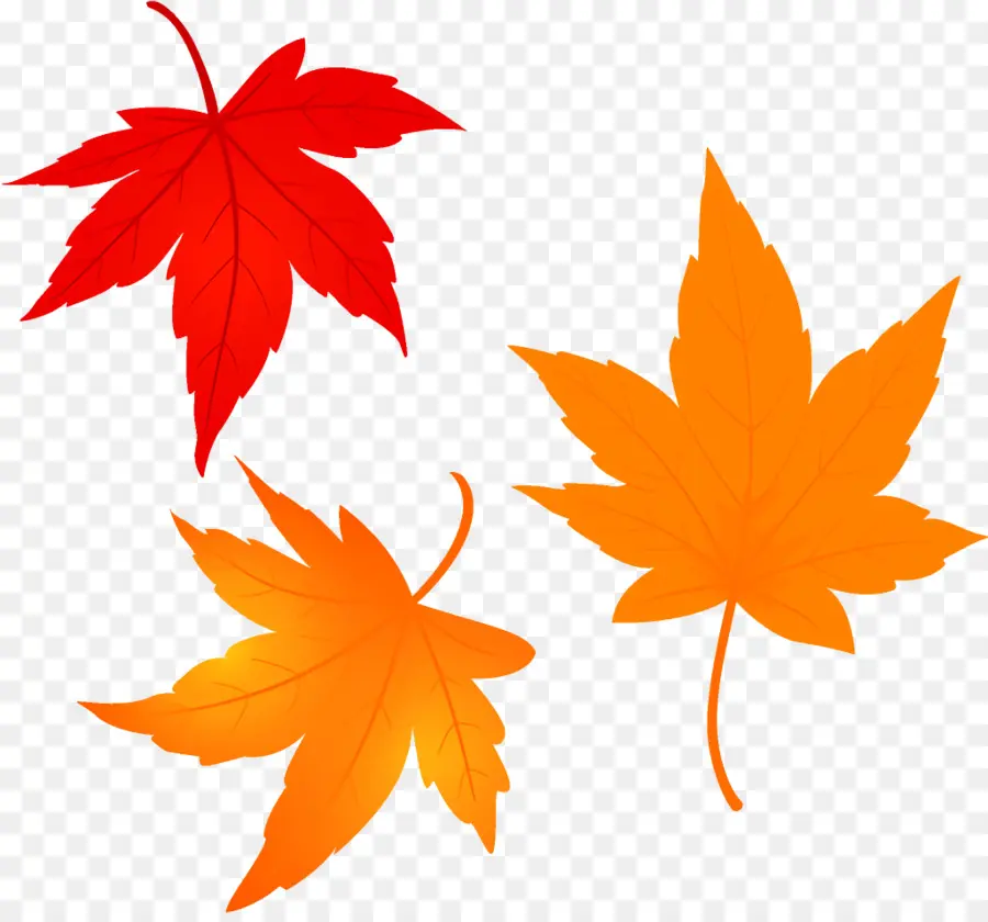 Folha，Maple Leaf PNG