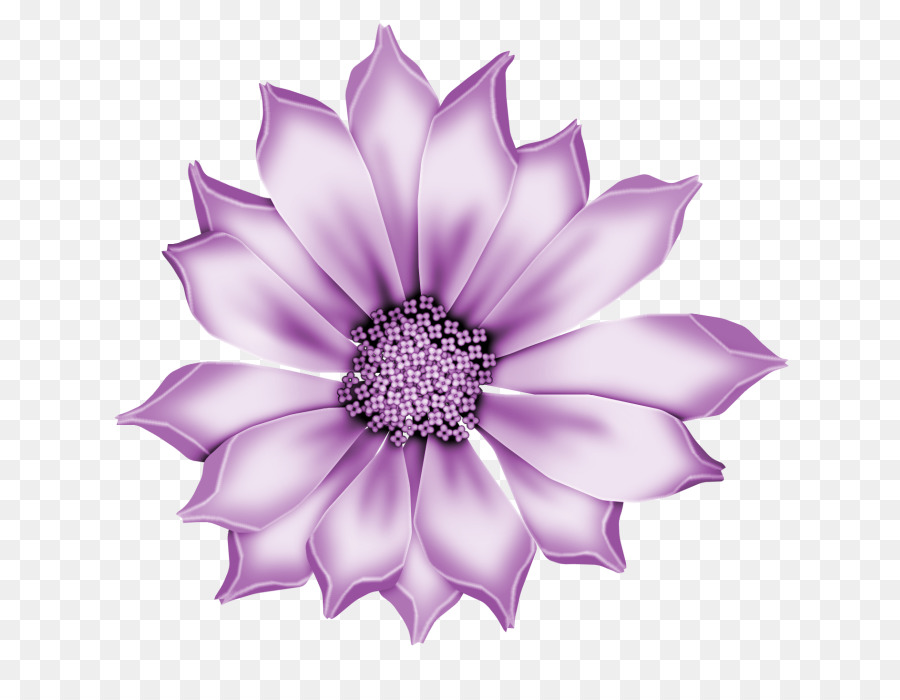 Pétala，Violeta PNG