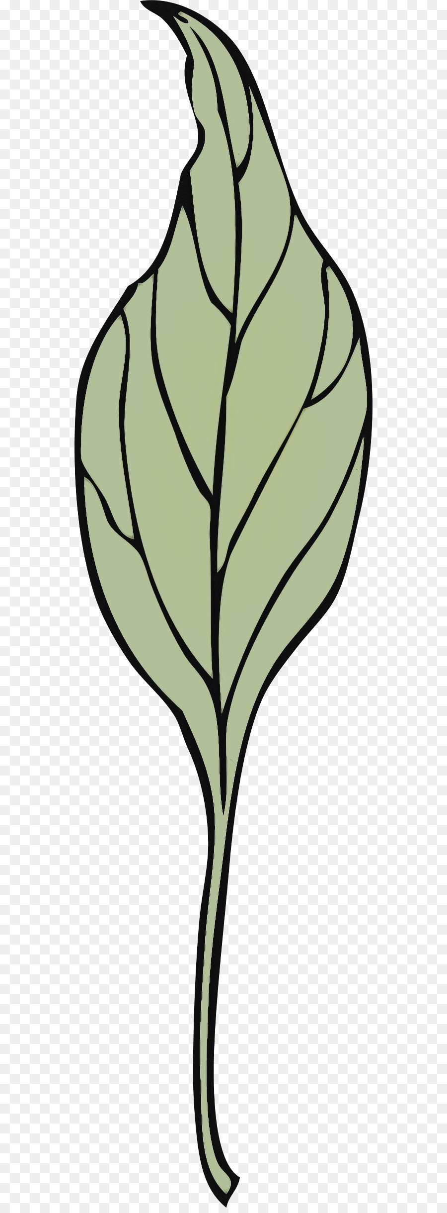 Folha，Planta PNG