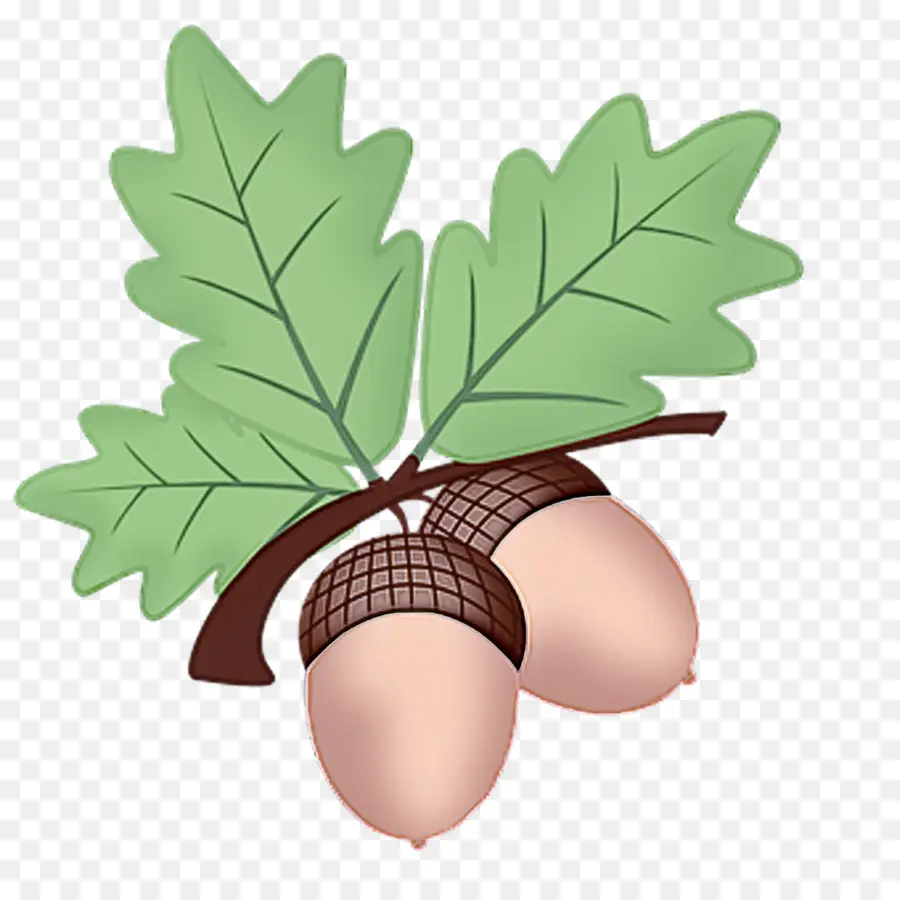 Folha，Planta PNG