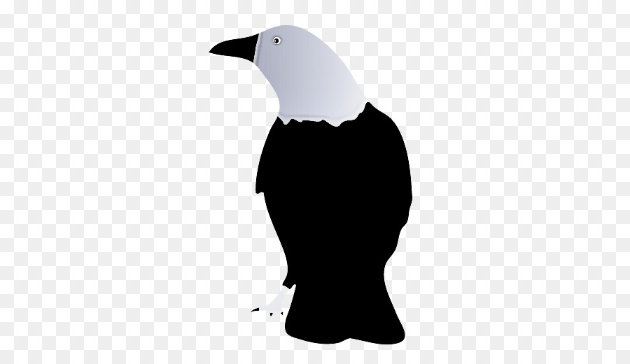 Aves，Branco PNG