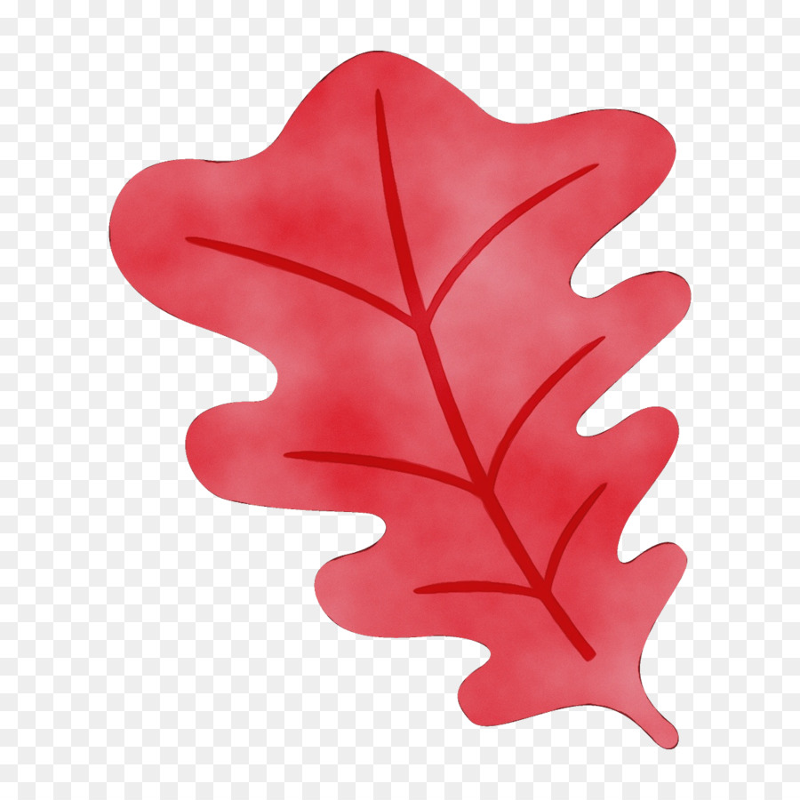 Folha，Vermelho PNG