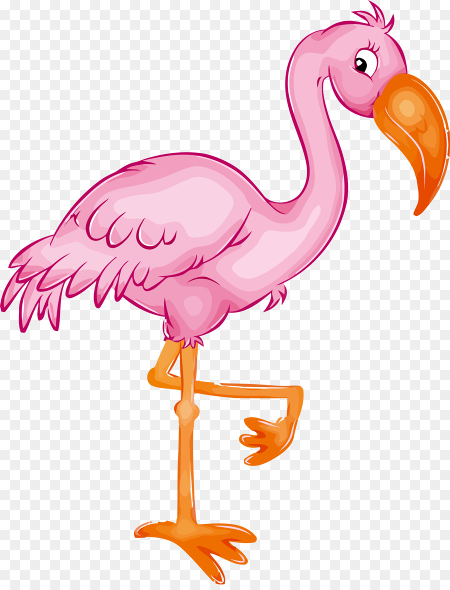 Aves，O Flamingo PNG