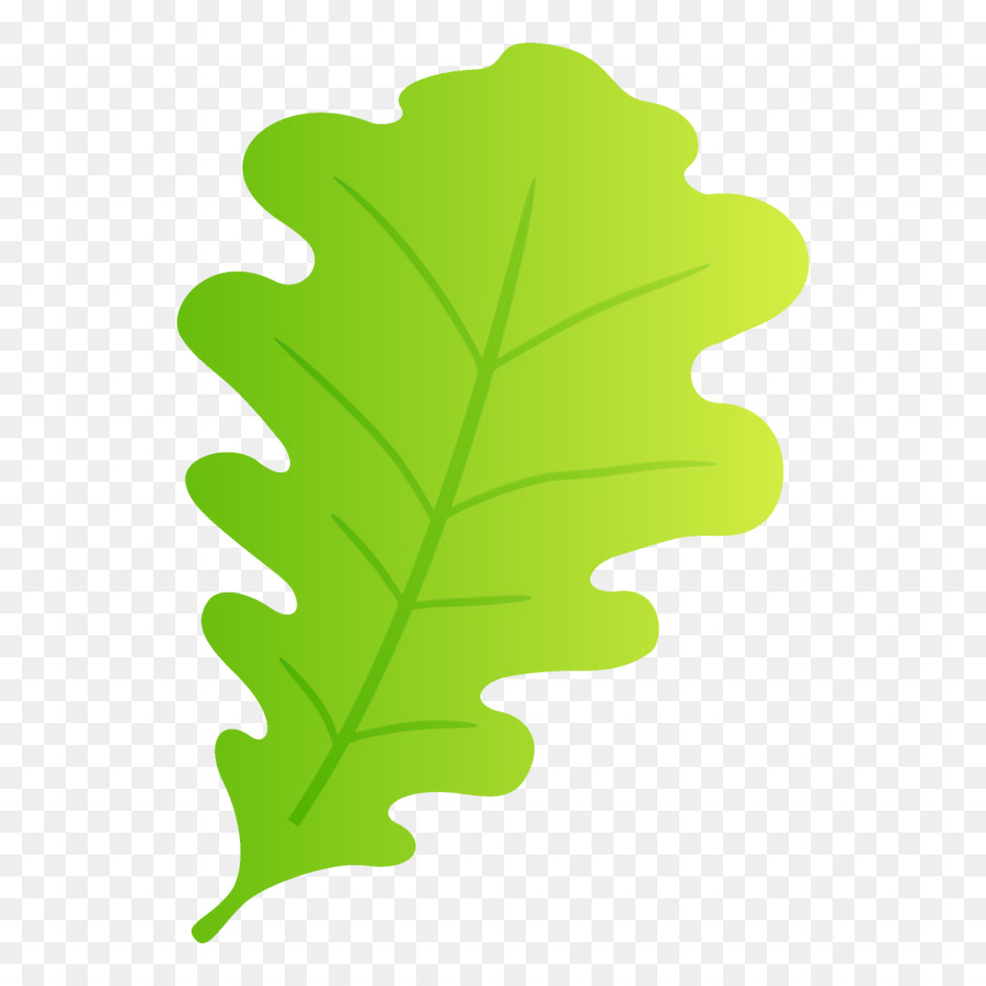 Folha Verde，Plantar PNG