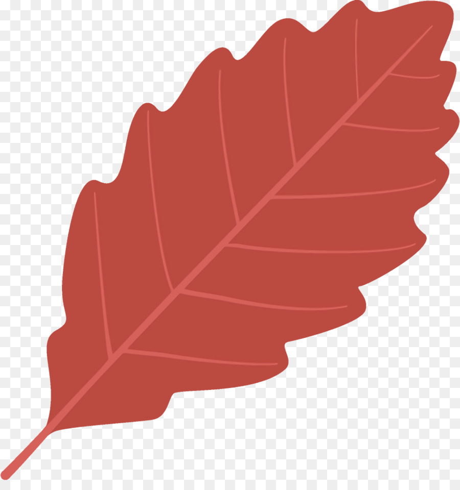 Folha，Vermelho PNG