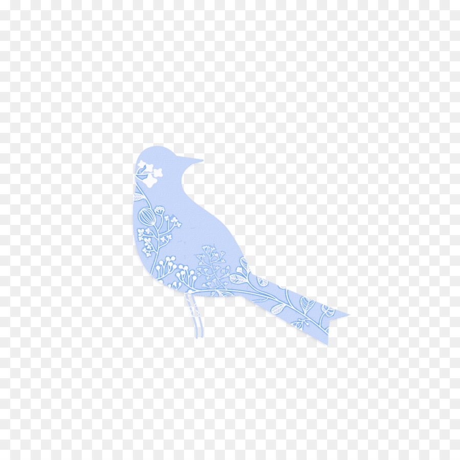 Aves，Bico PNG