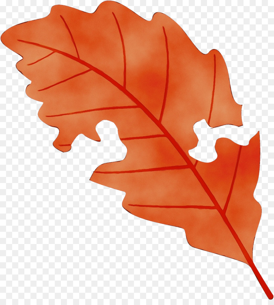 Folha，Maple Leaf PNG