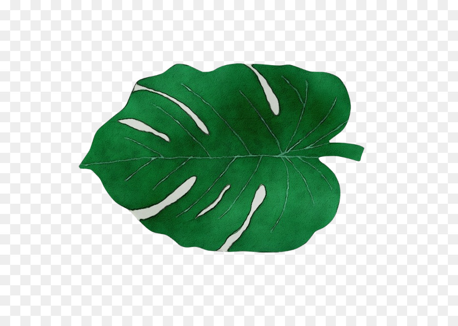 Folha Monstra，Plantar PNG