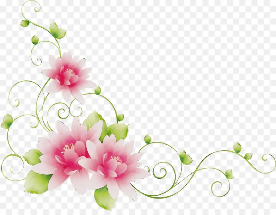 Desenho Floral，Flores Rosa PNG