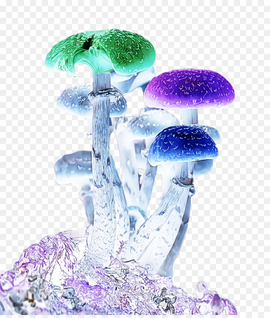 Roxo，Violeta PNG