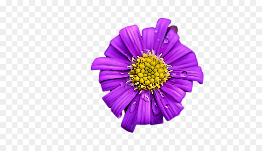 Flor，Violeta PNG