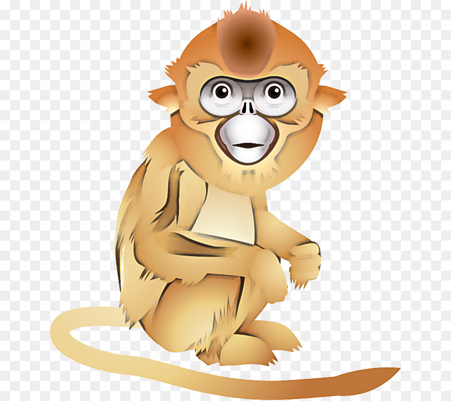 Cartoon，Macaco Do Velho Mundo PNG