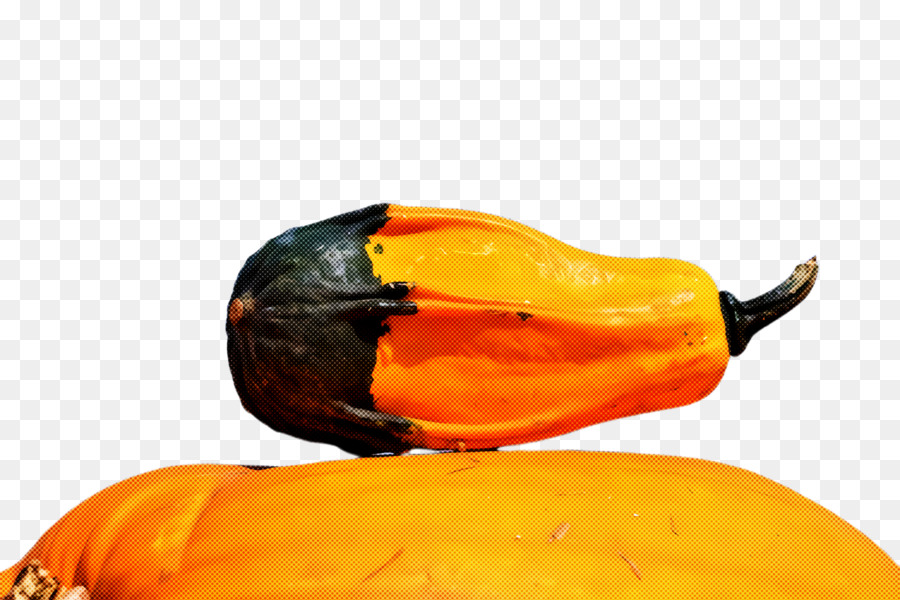 Laranja，Vegetal PNG