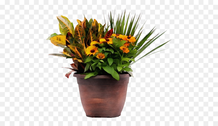 Flor，Flowerpot PNG