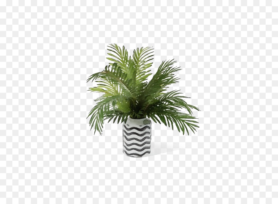 Planta Em Vaso，Folhas PNG