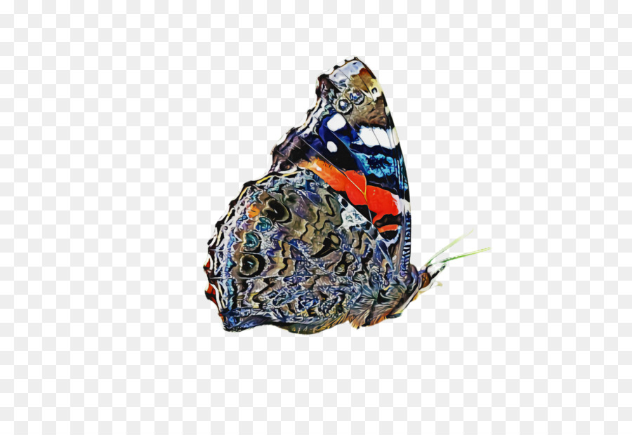 Azul，Borboleta PNG