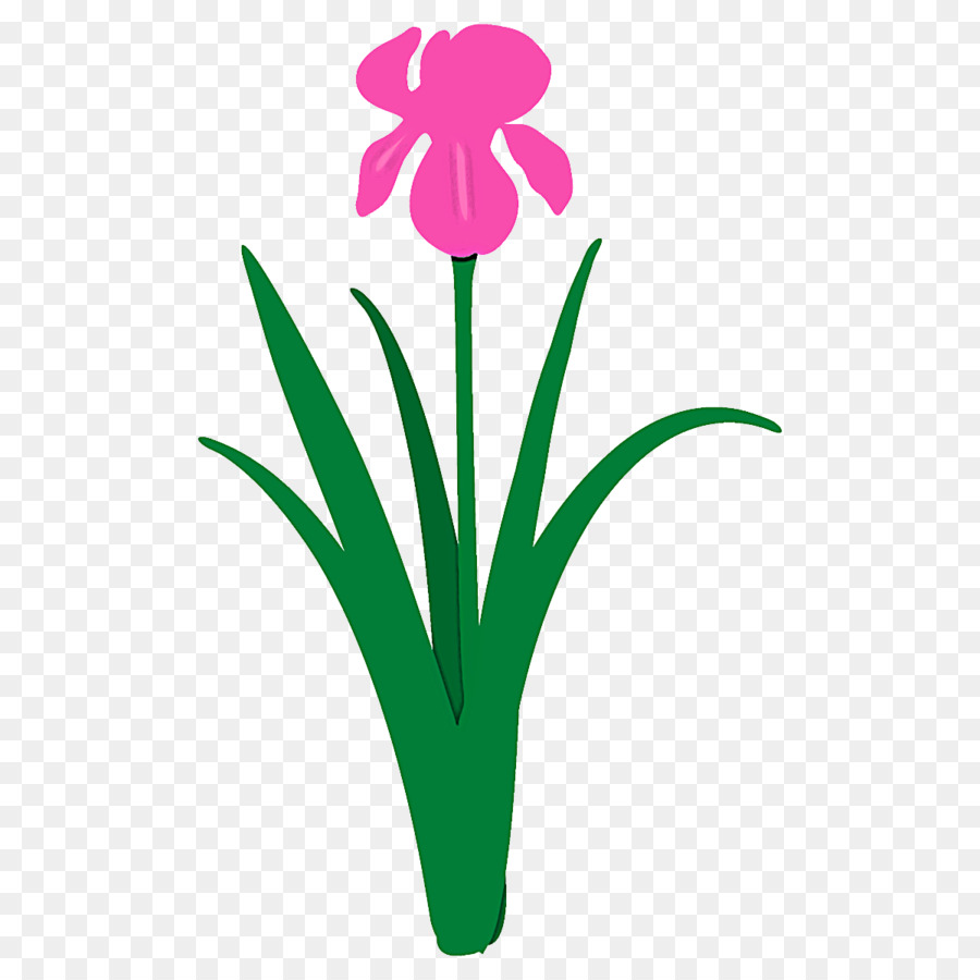 Flores Cor De Rosa，Florescer PNG