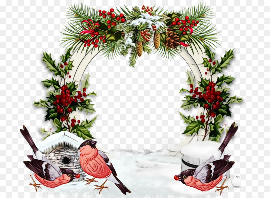 Decoração De Natal，Planta PNG