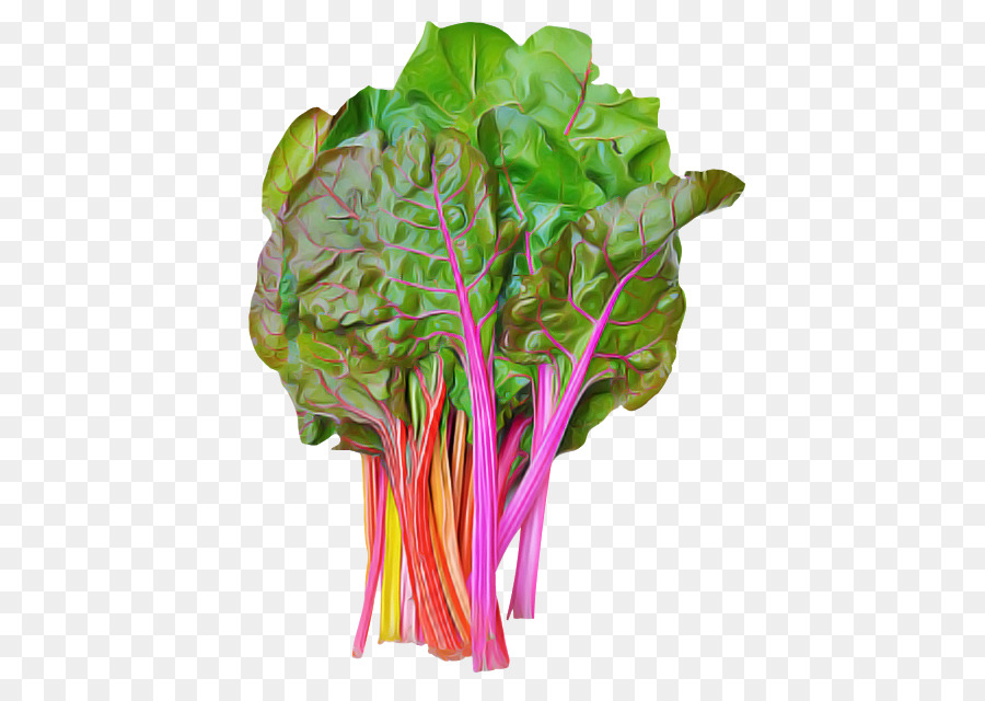 Vegetais De Folhas，Acelga PNG