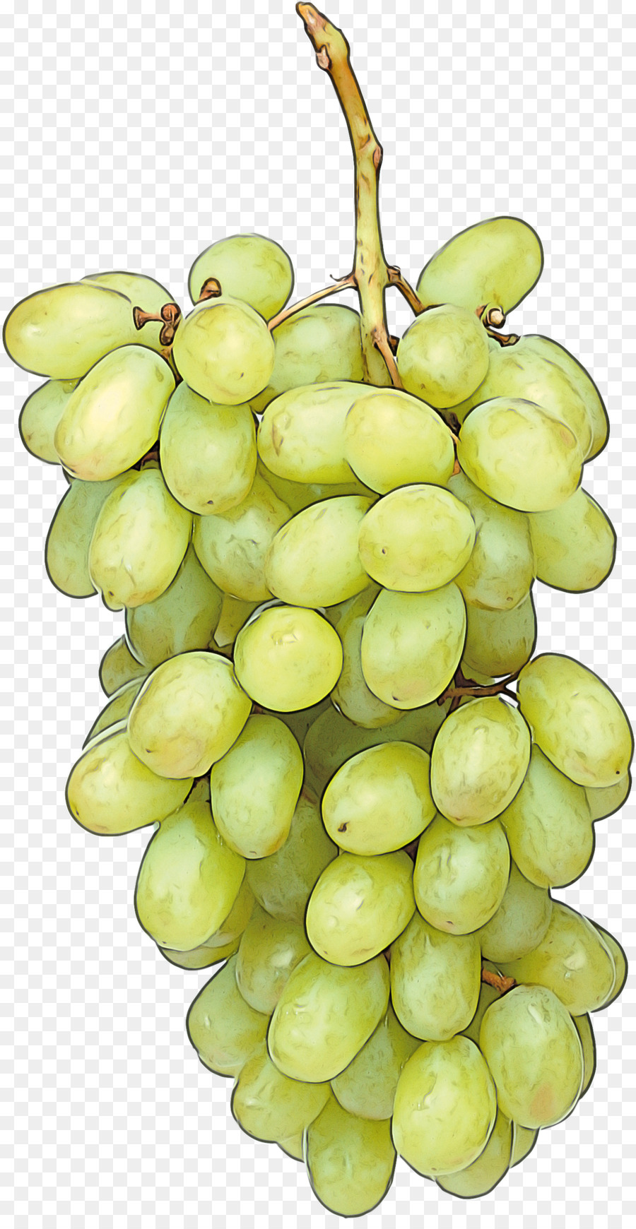 Uva，Caroço De Fruta PNG