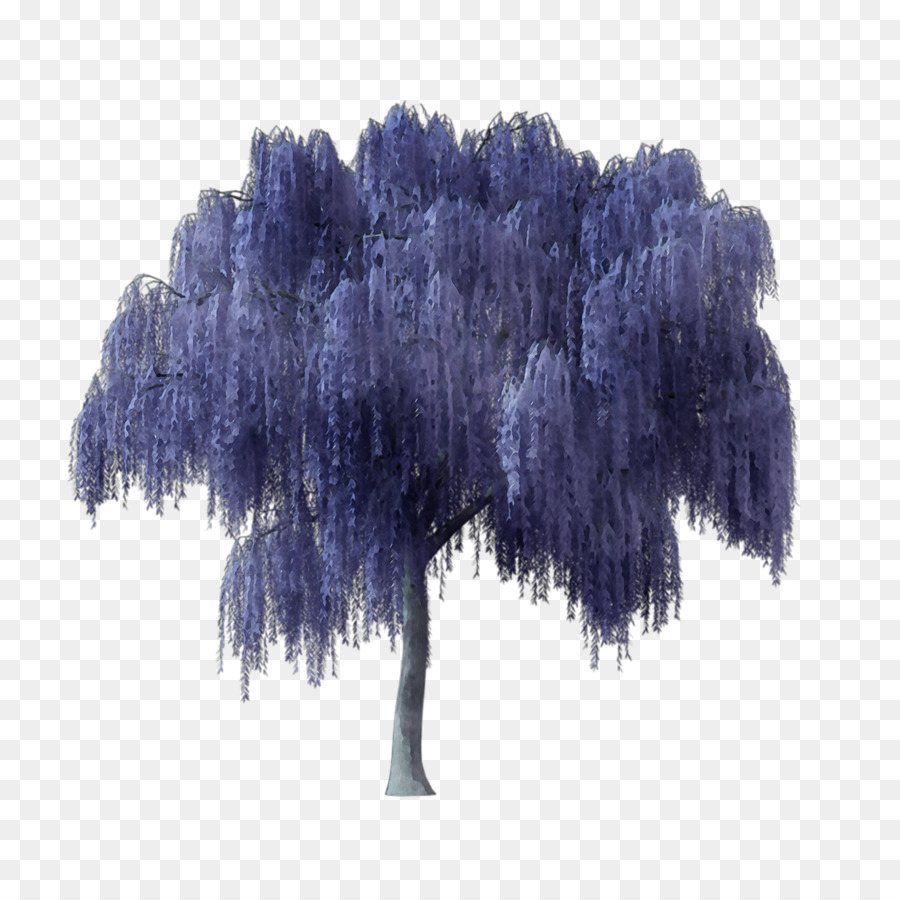 Azul，Violeta PNG