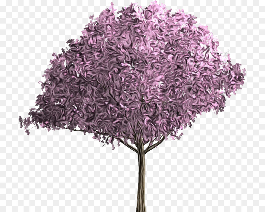 árvore，Roxo PNG