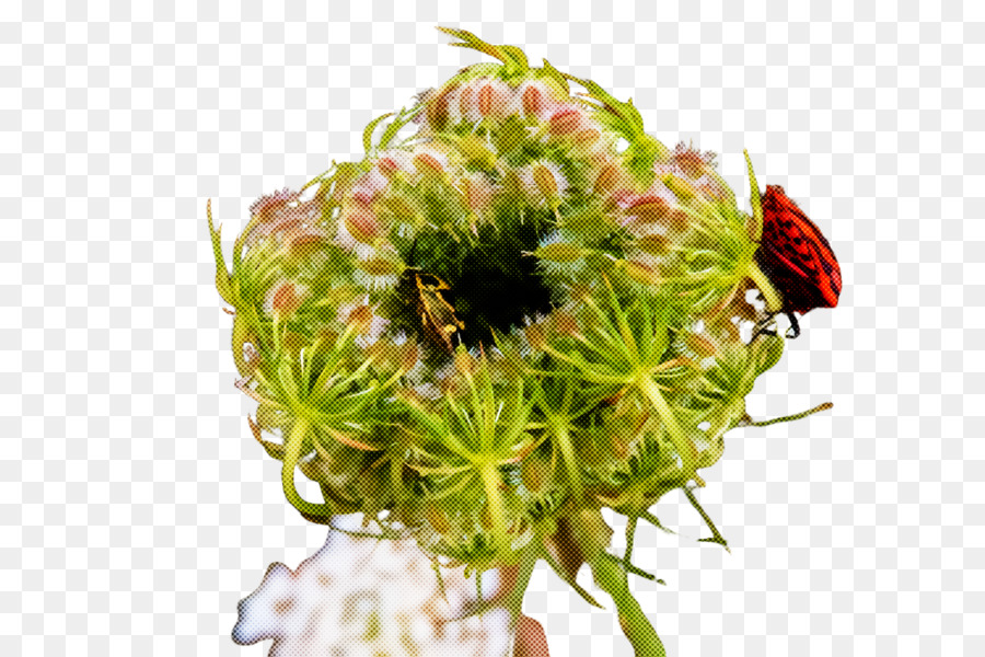 Flor，Planta PNG