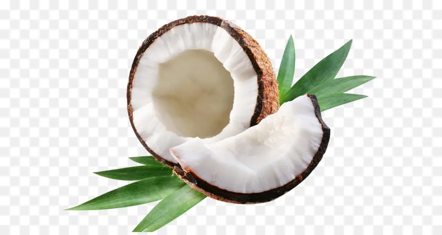Coco，Planta PNG