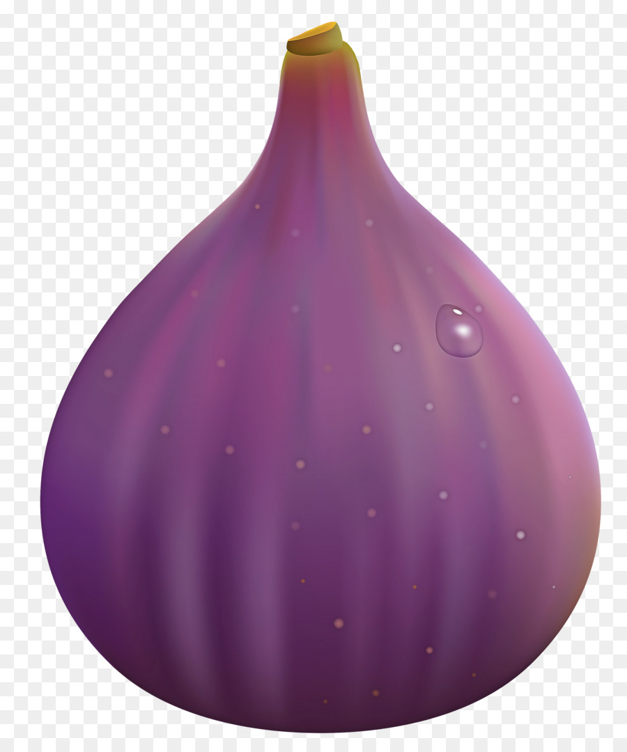 Roxo，Violeta PNG