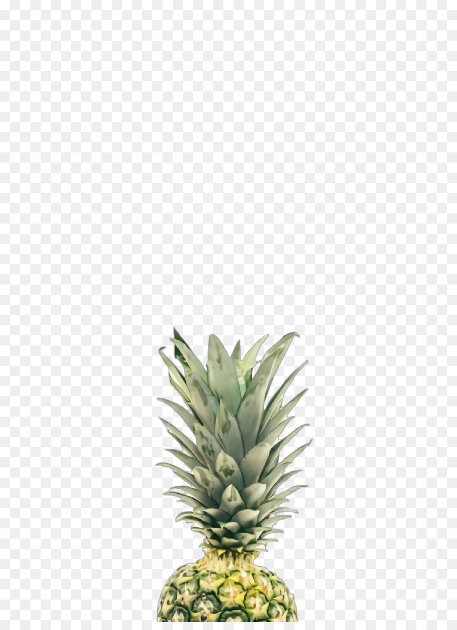 Abacaxi，Ananas PNG