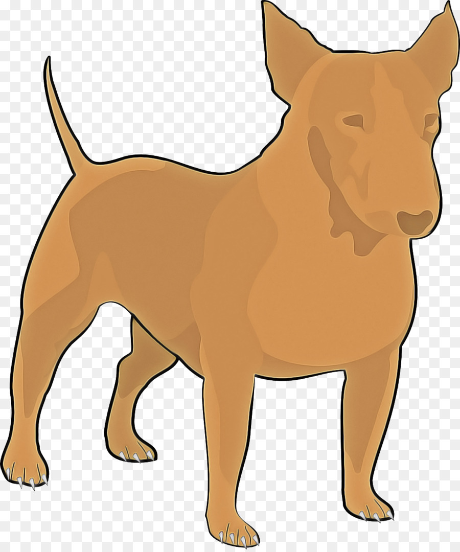 Cachorro，Fawn PNG