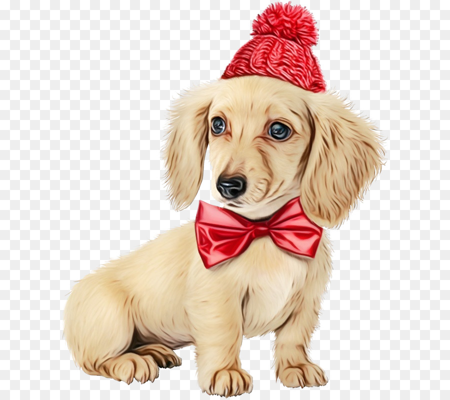 Cachorro，Golden Retriever PNG